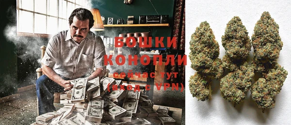 ПСИЛОЦИБИНОВЫЕ ГРИБЫ Остров