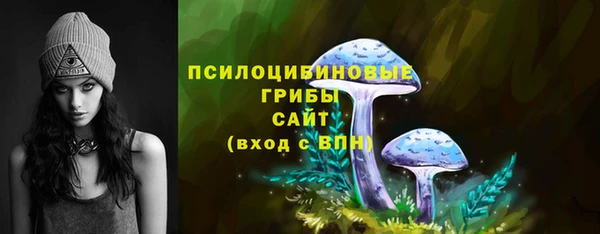 винт Баксан