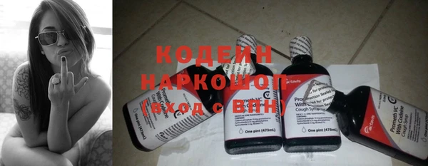 ешки Арсеньев