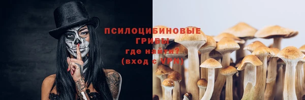спиды Балахна